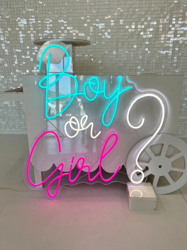 BOY OR GIRL NEON SIGN